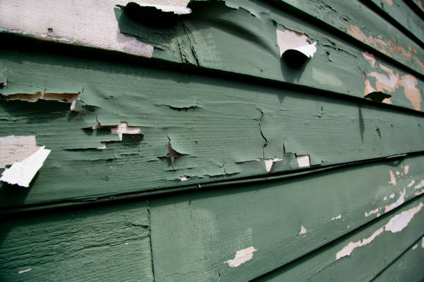 Best Insulated Siding Installation  in Williamston, MI