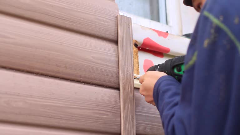 Best Brick Veneer Siding  in Williamston, MI
